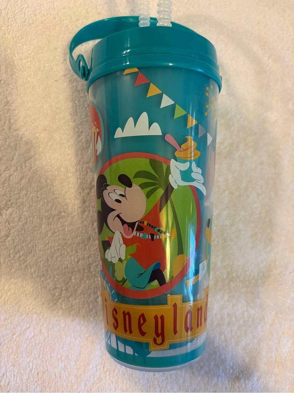 Disneyland DCA Play In The Park Thermo Sipper Cup Straw Mickey Donald Minnie